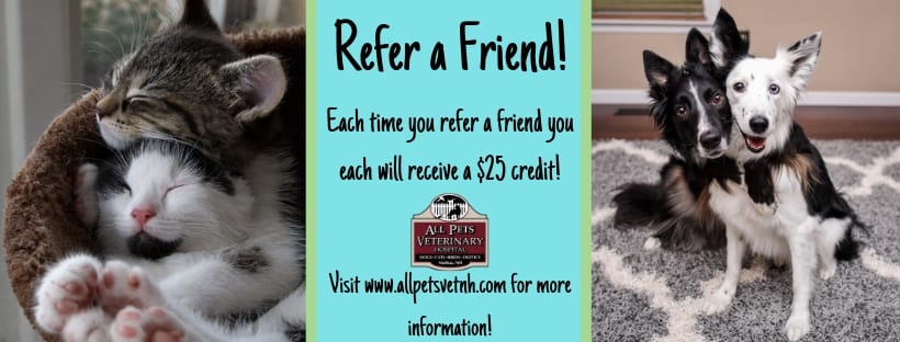 Animal Hospital in Nashua, NH refer a friend for $25 credit