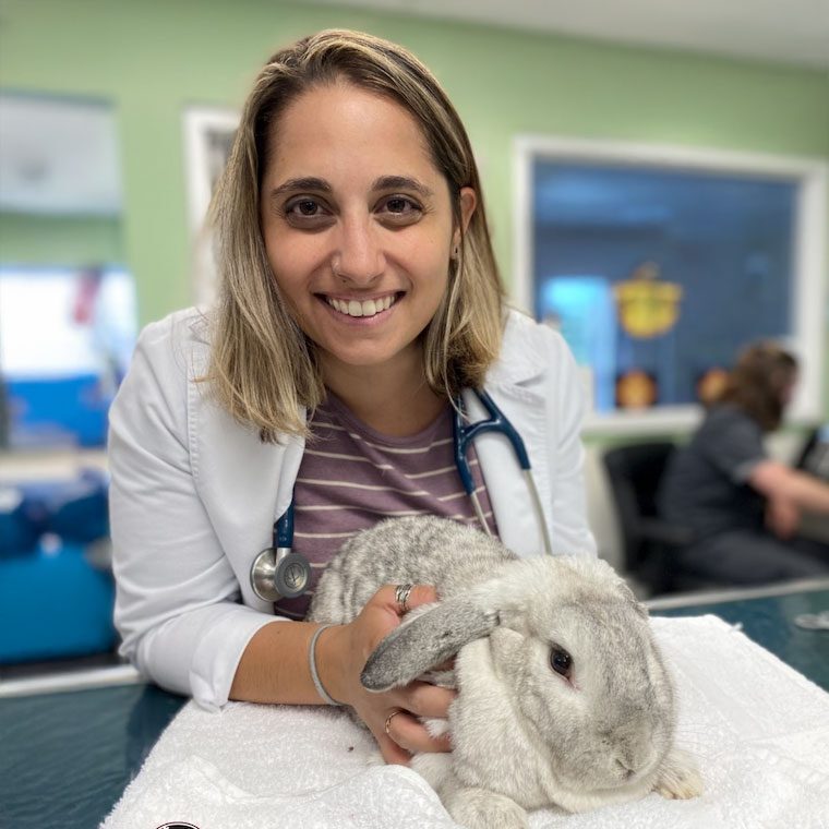 AAHA Accredited Veterinary Care In Nashua, NH Dr. Hollander holding bunny