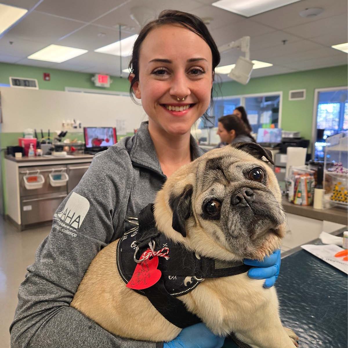 Dog Visiting Clinc On Valentines Day Dog Visiting Clinc On Valentines Day