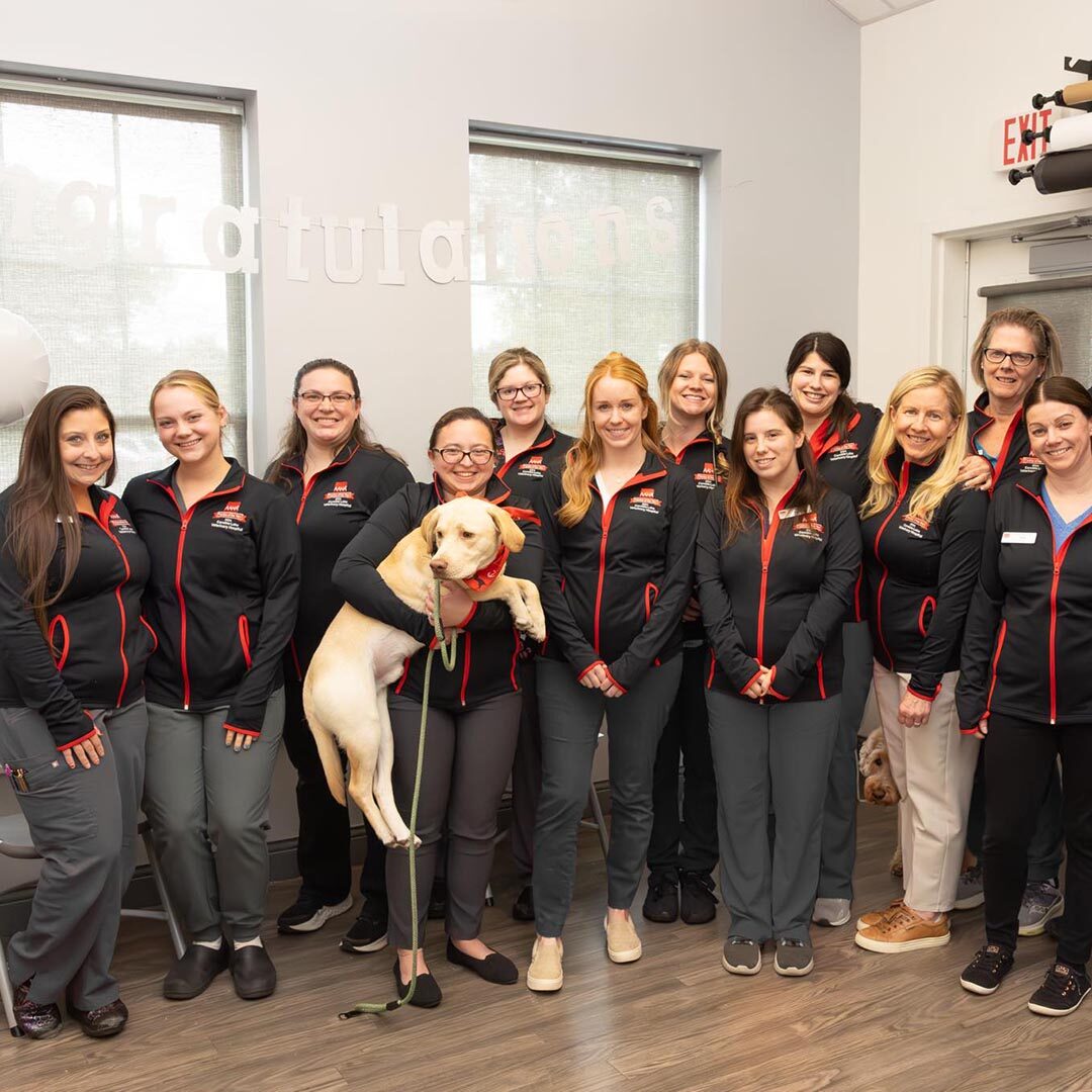 Canobie Lake Vet Celebrates Aaha Practice Of The Year