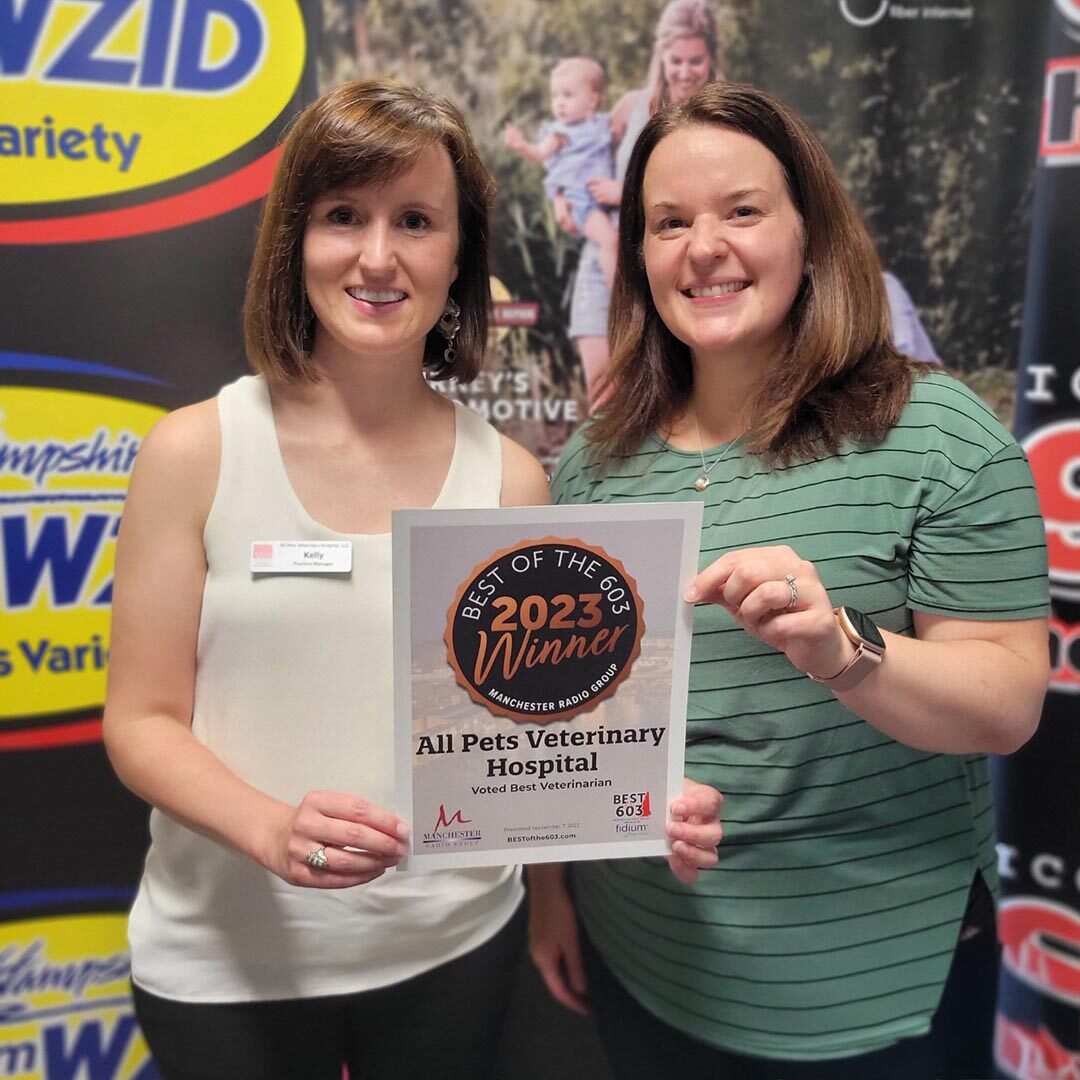 Commitment To The Nashua Nh Community Voted 2023 Bronze Best Veterinarian for Best of 603