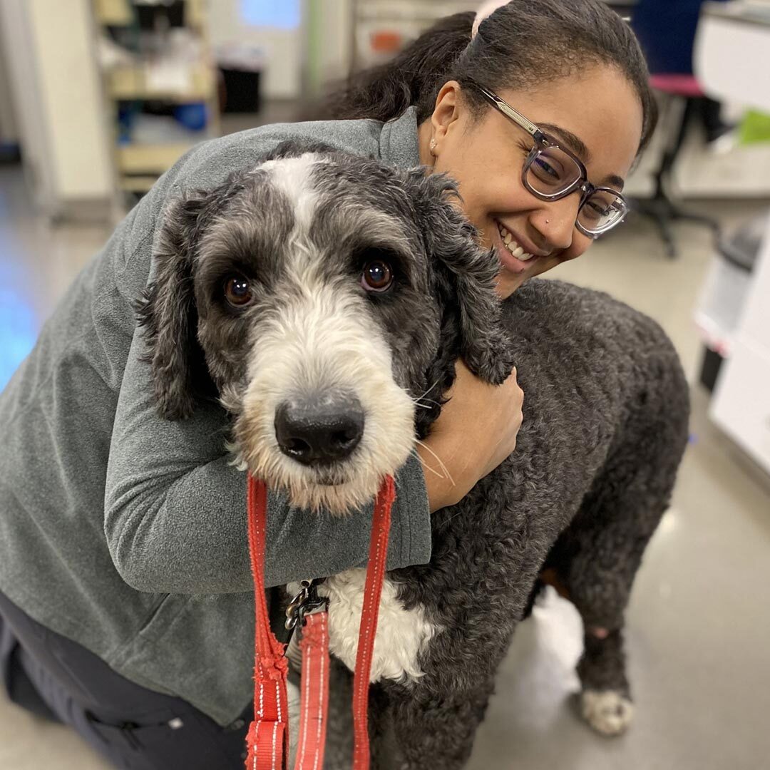 Female Staff Member Hugging Dog female staff member smiling and hugging fluffy dog on leash